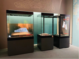 Multimedia Display Case
