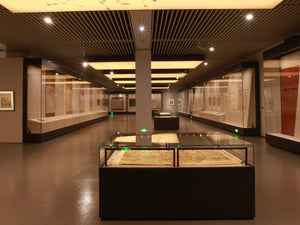 Modular Freestanding Display Case