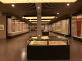 Modular Freestanding Display Case