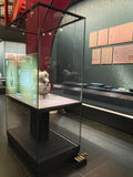 Multimedia Display Case