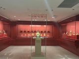 Niche Display Case (Wall Recessed Case)