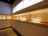 Niche Display Case (Wall Recessed Case)