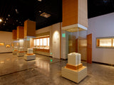 Niche Display Case (Wall Recessed Case)