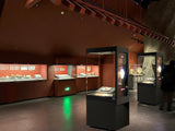 Multimedia Display Case