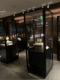 Multimedia Display Case