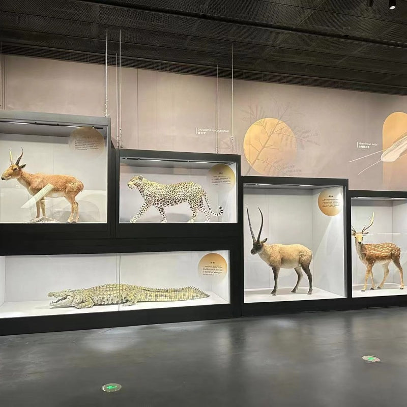 sundisplaycase.com