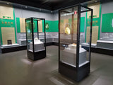 Multimedia Display Case