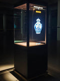 Multimedia Display Case